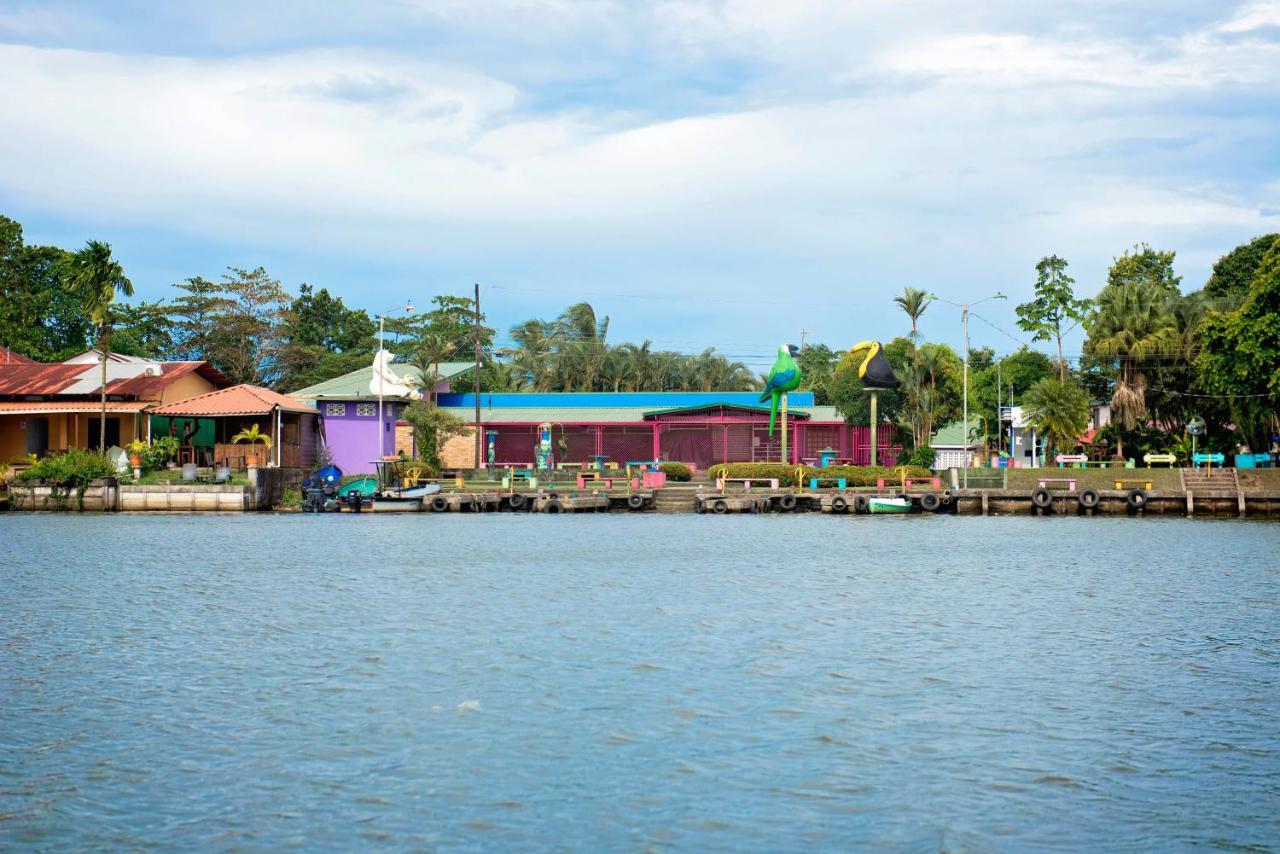 The Corner House Apartment Tortuguero Exterior foto